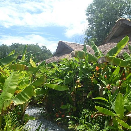Otres Jungle Bungalows Hotell Sihanoukville Exteriör bild